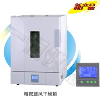 精密鼓風(fēng)干燥箱